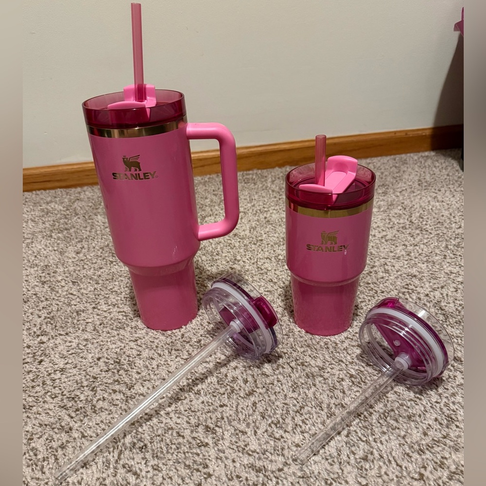 Stanley x Wicked Glinda 40 oz and 20 oz tumbler with additional leak proof lids